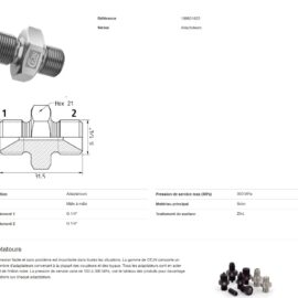 Adaptateur mâle à mâle en acier, threads G 1/4'', présenté avec dessin technique et dimensions.