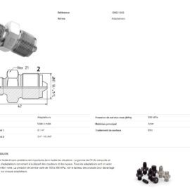 Metal double-threaded adapter with hex nut and accompanying technical drawing showing dimensions range (G 1/4